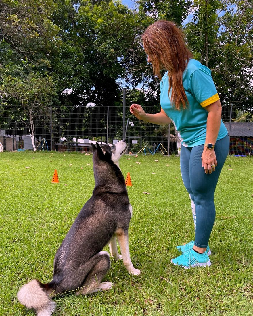 Profissional do AlphaPets trabalhando com um cão no gramado